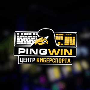 PingWin компьютерный клуб