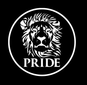 PRIDE компьютерный клуб