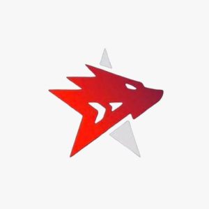 WOLF arena компьютерный клуб