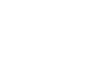 SFU siberian federal university